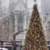 Patrick Kerry - @patrick.kerry - TikTok