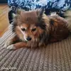 Kerry_peaches71 - @ya_za_ra - TikTok