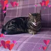 kerrypeacock537 - @kerrypeacock537 - TikTok