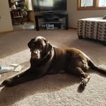 Kerry Hall Peck - @kerryhallpeck - Instagram