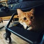 Kerry Penaloza - @penalozakerry - Instagram