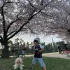 Kerry Perez - @kerryperez - TikTok