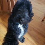Kerri Perrin Eagan - @kittybeep - Instagram