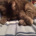 Kerry Peterman - @kerpee - Instagram