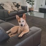 Kerry Priest - @kerrypriest1 - Instagram