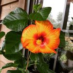 Kerry Priest - @kerry_priest - Instagram