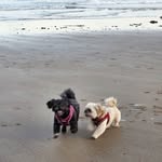Kerry Prosser - @kerry.prosser.79 - Instagram