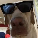 Kerry Wysner-Purdy - @kwysner - Instagram