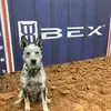 Kerry Radcliffe Jenkins - @kerry.radcliffe.j - TikTok