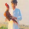 KerryRandolph - @hayleugm905 - TikTok