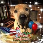 Kerry Roach - @jakescafe - Instagram