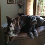 Kerry Roach - @kerry.roach.5555 - Instagram
