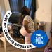 Kerry Roberson - Facebook