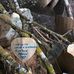 Kerry Roche - Facebook