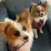 kerryrochebittrich - @kerryrochebittrich - TikTok