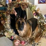 Kerry Russo - @livinglifeinahurry - Instagram