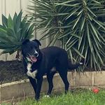 Kerry Russo - @kerrysrusso - Instagram