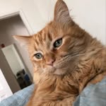 Kerry Ruth Engber - @kerryruthengber - Instagram