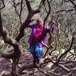 Kerry Ruth Giles - @kerryruthgiles - Instagram
