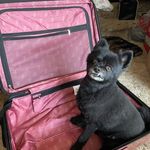 Kerry Ryder - @ryder2970 - Instagram