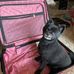 Kerry Ryder - Facebook
