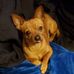 Kerry Savage - Facebook