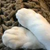 Pawsitive Clawset KW - @kerrysellers123 - TikTok