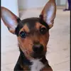 kerryshepherd372 - @kerryshepherd372 - TikTok