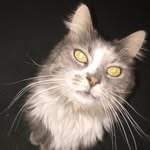 Kerry Short - @kerryshort7 - Instagram