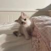 Kirys_ka - @kirys_ka1 - TikTok