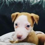 Willow (Kerry slater) - @willowthelurcher21 - Instagram