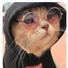 kerry_small - @kerry_small - TikTok