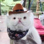 Kerry Snell - @kerrylsnell - Instagram