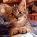 Kerry Snell - Facebook
