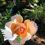 Kerry Sparks - Facebook