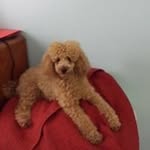 Kerry Stamper - @stamperkerry - Instagram