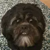 Kerry Stevenson - @kerry.stevenson - TikTok