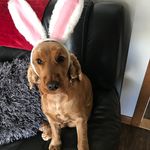 Kerry Stevenson - @kerrystevenson8090 - Instagram