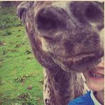 Kerry Stevenson - @kerry.stevenson.5895 - Instagram