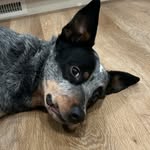 Kerry J Stilling - @kerrystilling - Instagram