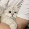 Kerry Storm - @kerry.storm - TikTok