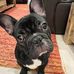 Kerry Streng - Facebook