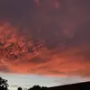 strangerthingsjoekerry - @strangerthingsjoekerry - TikTok