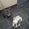 kerrystringer851 - @kerrystringer851 - TikTok