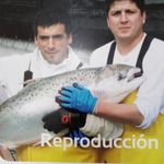Kerry Strong - @kerrystrong659 - Instagram