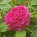 Kerry Rose Stroud - Facebook