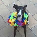 Kerry Thomson - @kerry.thomson.73932 - Instagram