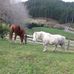 Kerry Thomson - Facebook