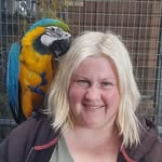 Kerry Tracey mzielins - @kerrytraceymzielins - Instagram