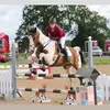 Kerry Ware - @waregirl - TikTok
